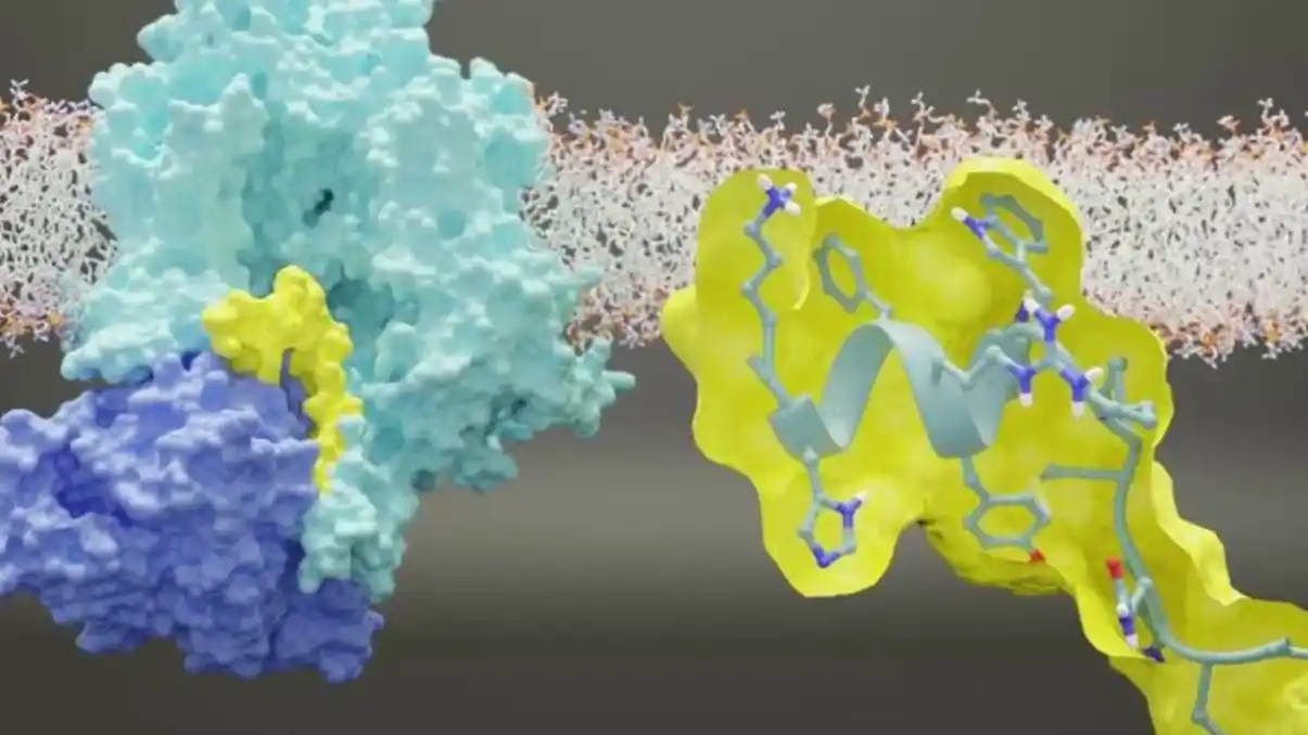 Chronic Pain Anonymous